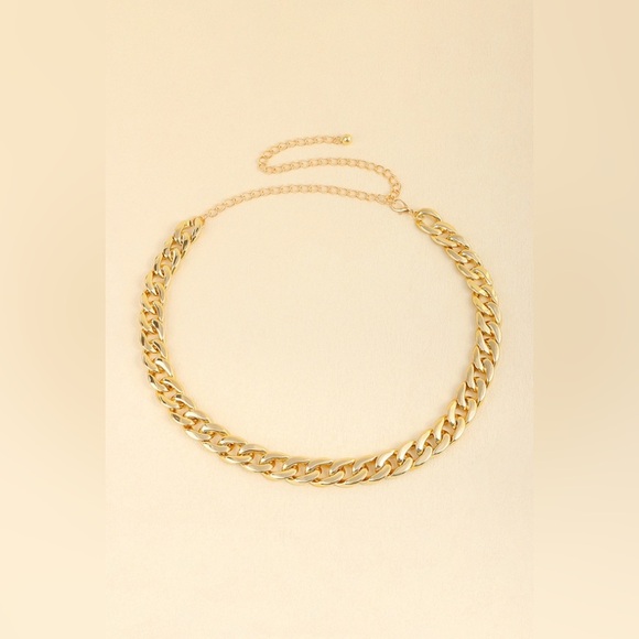 Adjustable Curb Chain Belt - Picture 5 of 9